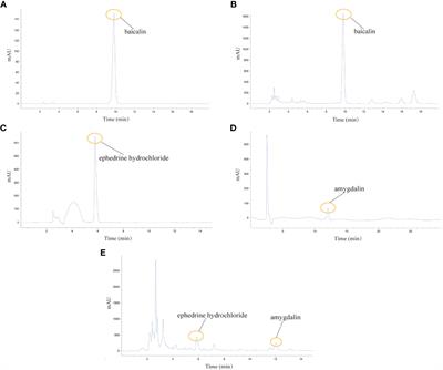 Qinhuo Shanggan oral solution resolves acute lung injury by down-regulating TLR4/NF-κB signaling cascade and inhibiting NLRP3 inflammasome activation